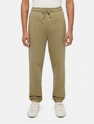 Παντελονι Jogger ανδρικα Dickies Mapleton Ελιά | 227542554