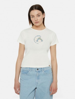 μπλουζακια γυναικεια Dickies Altoona Short Sleeve ασπρα | 527070557