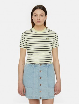 μπλουζακια γυναικεια Dickies Altoona Stripe Short Sleeve κίτρινα | 512776855