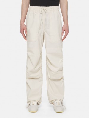 Παντελονι ανδρικα Dickies Fishersville ασπρα | 441775871
