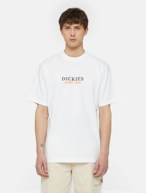 μπλουζακια ανδρικα Dickies Park Short Sleeve ασπρα | 14333618