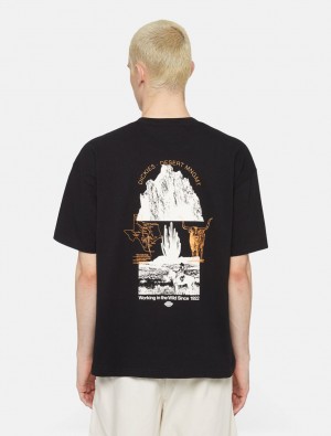 μπλουζακια ανδρικα Dickies Pearisburg Short Sleeve μαυρα | 503307475
