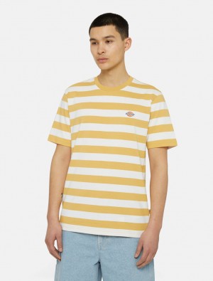 μπλουζακια ανδρικα Dickies Rivergrove Short Sleeve κίτρινα | 522991772