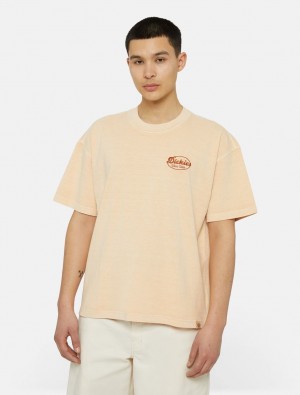 μπλουζακια ανδρικα Dickies Rustburg Short Sleeve βερίκοκο | 758480982
