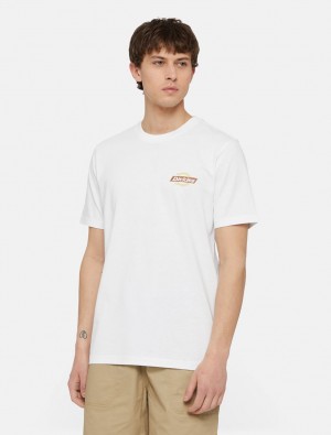 μπλουζακια ανδρικα Dickies Ruston Short Sleeve ασπρα | 595624766