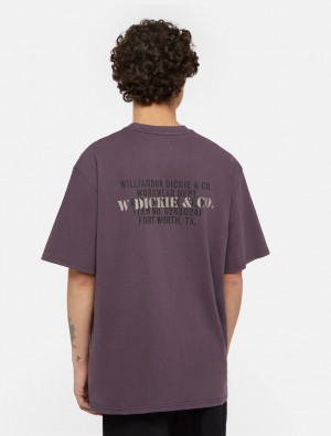 μπλουζακια ανδρικα Dickies Stamp μωβ | 906196180