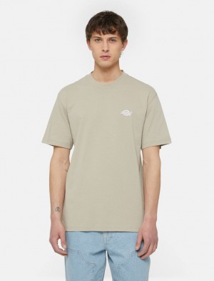 μπλουζακια ανδρικα Dickies Summerdale Short Sleeve Χακί | 629411646