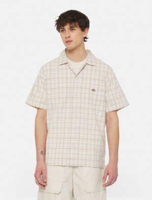 πουκαμισα ανδρικα Dickies Surry Short Sleeve ασπρα | 882654190