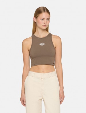 Μπλουζακια Αμανικα γυναικεια Dickies Powers καφε | 390459271